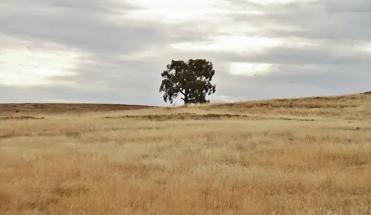 Sixth view of Homely land listing, 142 Wild Duck Road, Heathcote VIC 3523