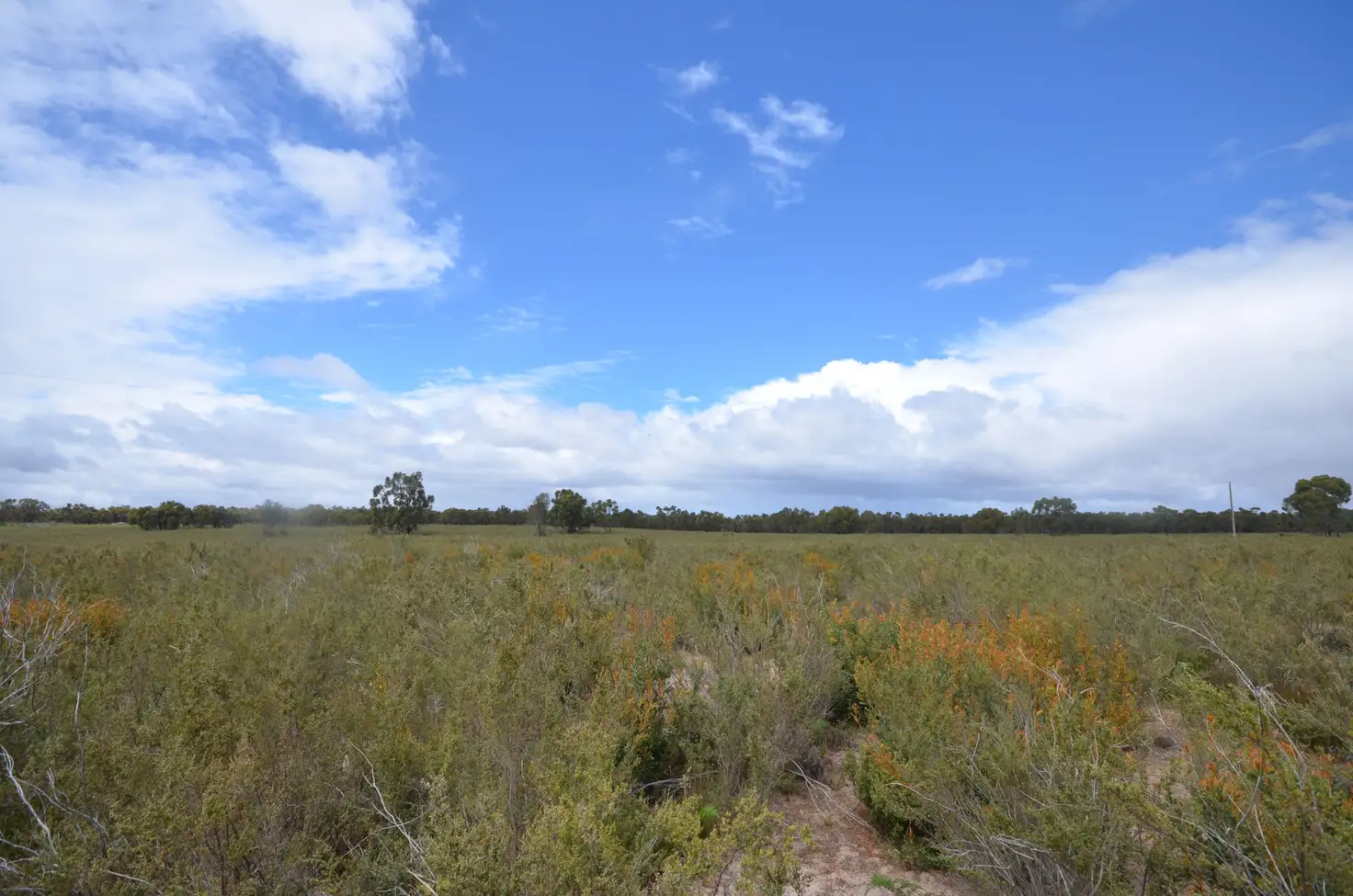 Main view of Homely rural property listing, Lot 40 Scrubby Lake Road, Edenhope VIC 3318
