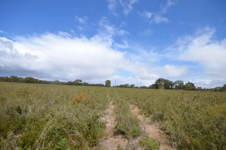 Fourth view of Homely rural property listing, Lot 40 Scrubby Lake Road, Edenhope VIC 3318