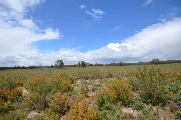 Fifth view of Homely rural property listing, Lot 40 Scrubby Lake Road, Edenhope VIC 3318