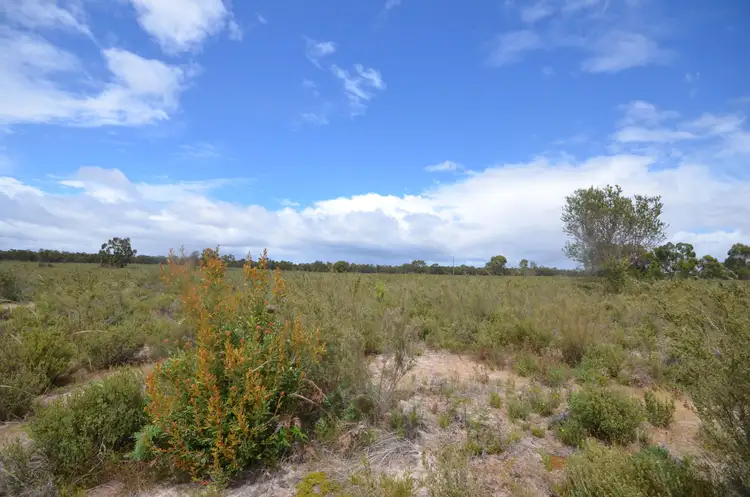 Seventh view of Homely rural property listing, Lot 40 Scrubby Lake Road, Edenhope VIC 3318