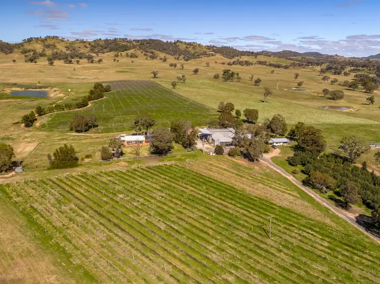 Main view of Homely rural property listing, 74 Mcdonalds Road, Mudgee NSW 2850