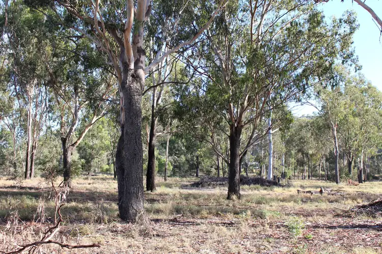 Second view of Homely rural property listing, Lot 171 Bruce Highway, Marmor QLD 4702