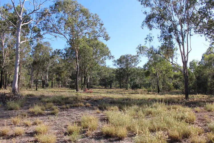 Fifth view of Homely rural property listing, Lot 171 Bruce Highway, Marmor QLD 4702