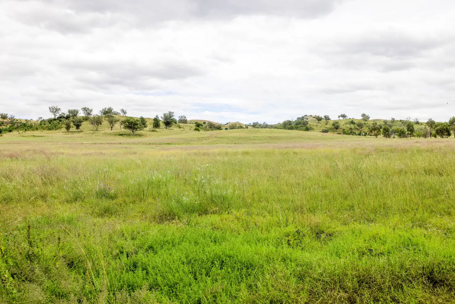 Main view of Homely rural property listing, 87 Wisemans Arm Road, Tamworth NSW 2340
