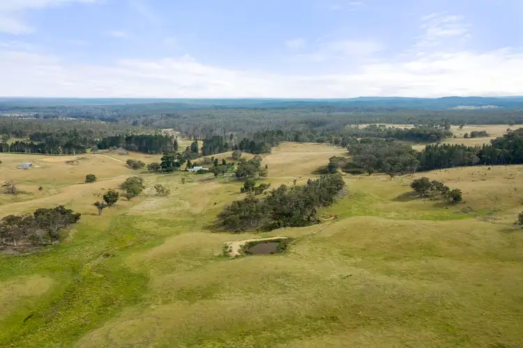 Main view of Homely rural property listing, 123 Kirriford Road, Wog Wog, Braidwood NSW 2622