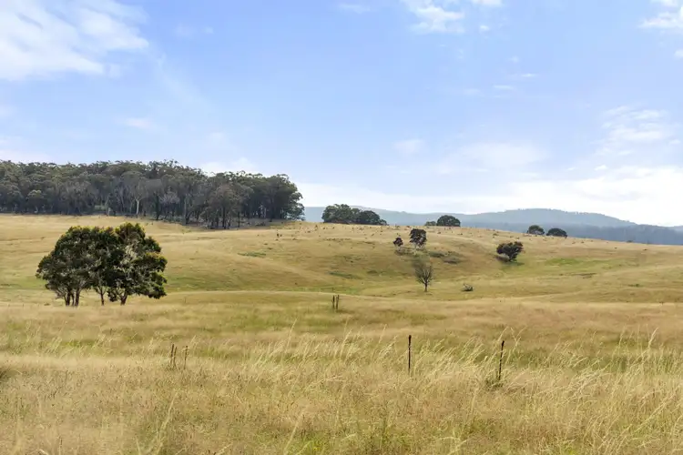 Second view of Homely rural property listing, 123 Kirriford Road, Wog Wog, Braidwood NSW 2622