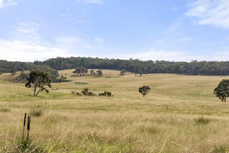 Third view of Homely rural property listing, 123 Kirriford Road, Wog Wog, Braidwood NSW 2622