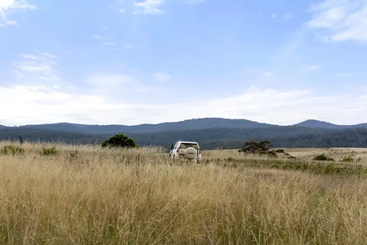 Sixth view of Homely rural property listing, 123 Kirriford Road, Wog Wog, Braidwood NSW 2622