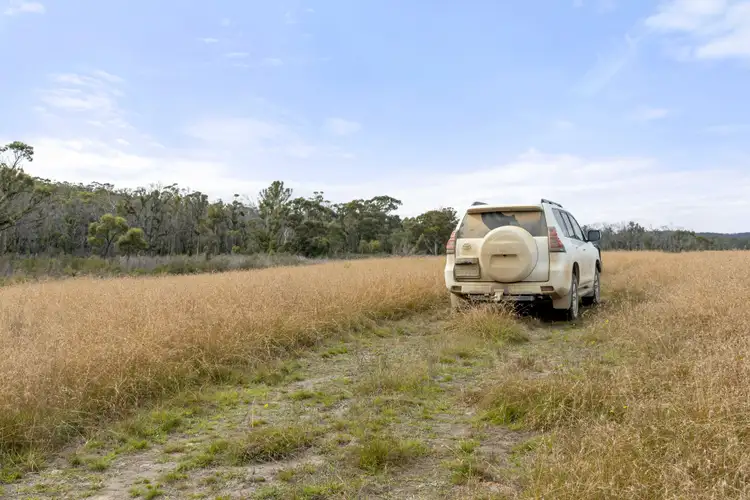 Seventh view of Homely rural property listing, 123 Kirriford Road, Wog Wog, Braidwood NSW 2622