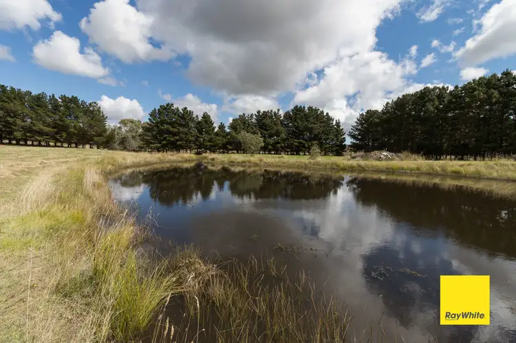 Sixth view of Homely rural property listing, 1263 Norton Road, Wamboin NSW 2620
