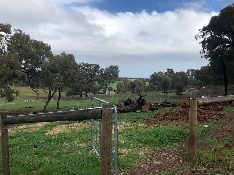 Second view of Homely rural property listing, 20 Malbec Close, Lower Chittering WA 6084