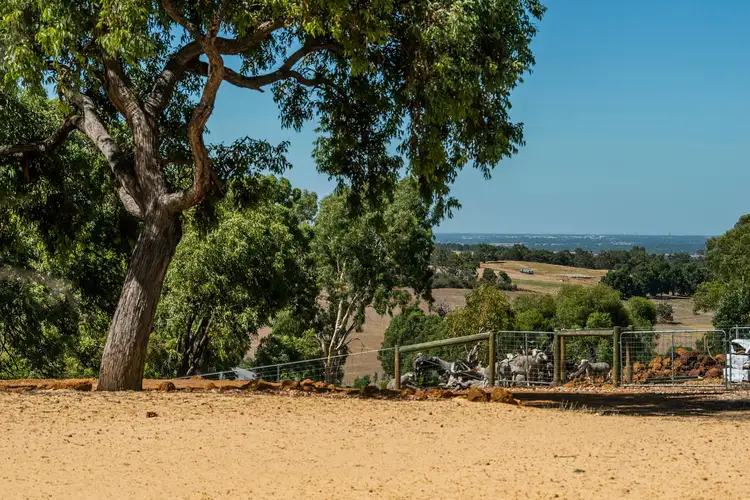 Sixth view of Homely rural property listing, 20 Malbec Close, Lower Chittering WA 6084