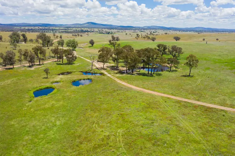 Sixth view of Homely rural property listing, 2/161 Nine Mile Road, Dundee NSW 2370