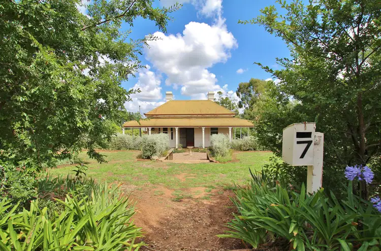7 Hills Street, Young NSW 2594
