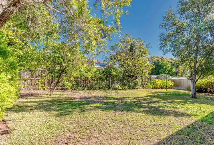 Fourth view of Homely house listing, 11 Archdeacon Street, Nedlands WA 6009