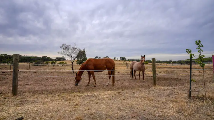 Fourth view of Homely rural property listing, 3274 Heathcote-Nagambie Road, Mitchellstown via, Nagambie VIC 3608