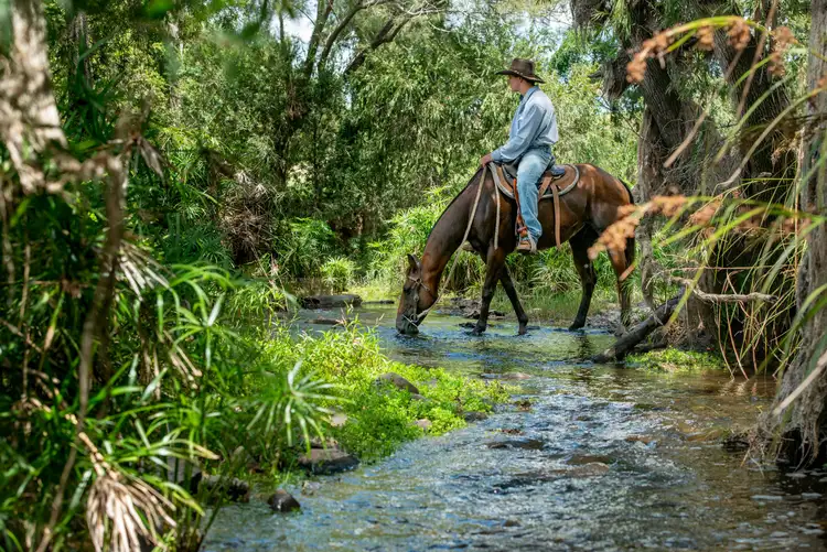 Second view of Homely rural property listing, 'Lagoona' Reid Road, Widgee QLD 4570