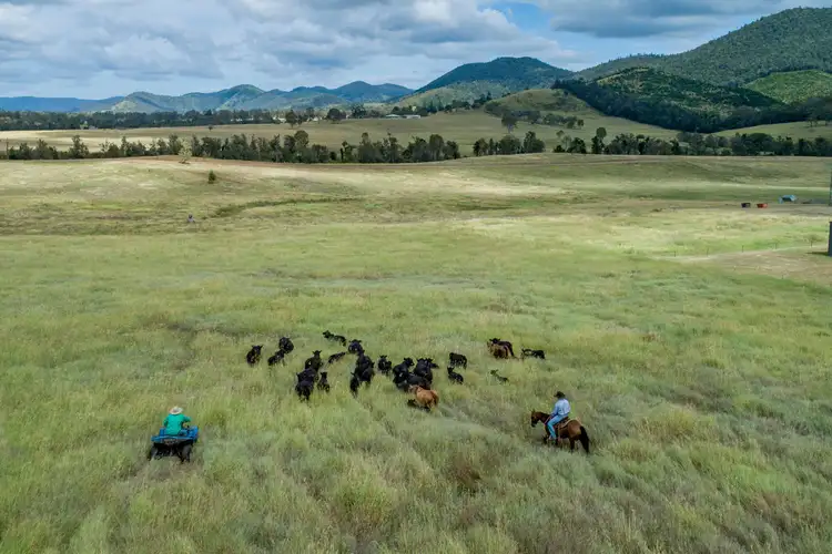 Fifth view of Homely rural property listing, 'Lagoona' Reid Road, Widgee QLD 4570