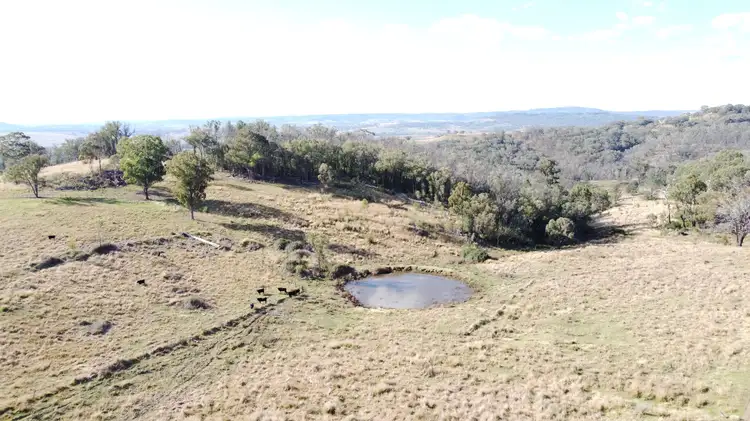 Second view of Homely rural property listing, 2520 Elsmore Road, Inverell NSW 2360