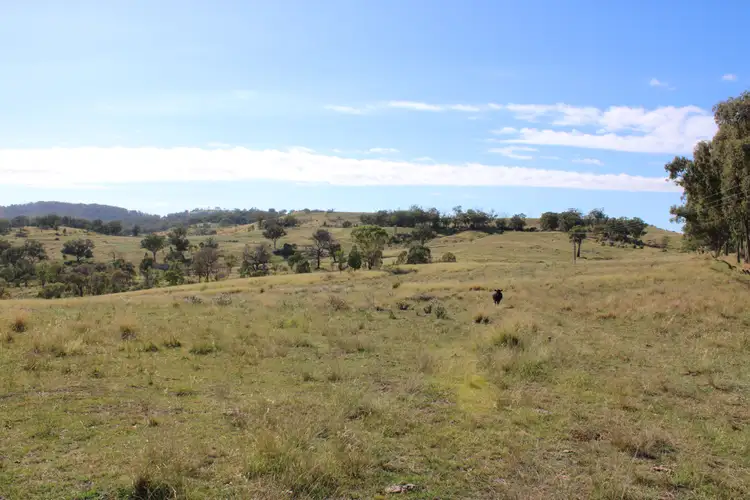 Third view of Homely rural property listing, 2520 Elsmore Road, Inverell NSW 2360