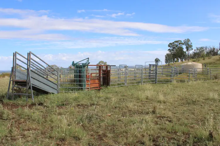 Fifth view of Homely rural property listing, 2520 Elsmore Road, Inverell NSW 2360