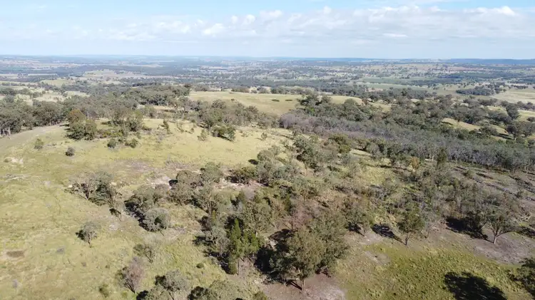 Seventh view of Homely rural property listing, 2520 Elsmore Road, Inverell NSW 2360