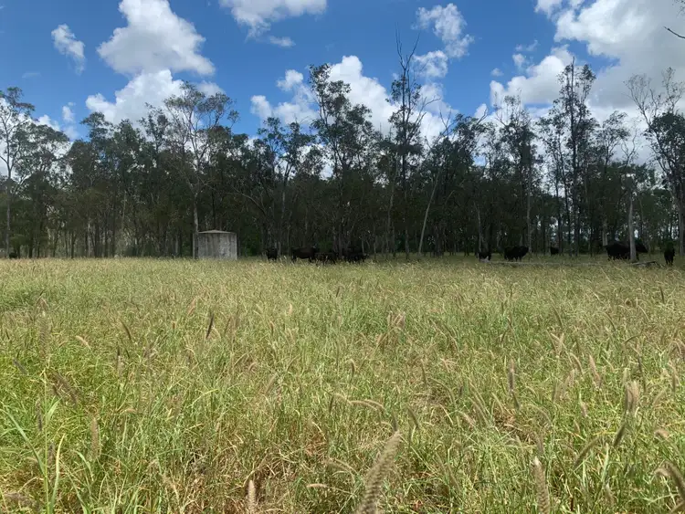 Second view of Homely rural property listing, 43308 fitzroy development Road, Valkyrie QLD 4742