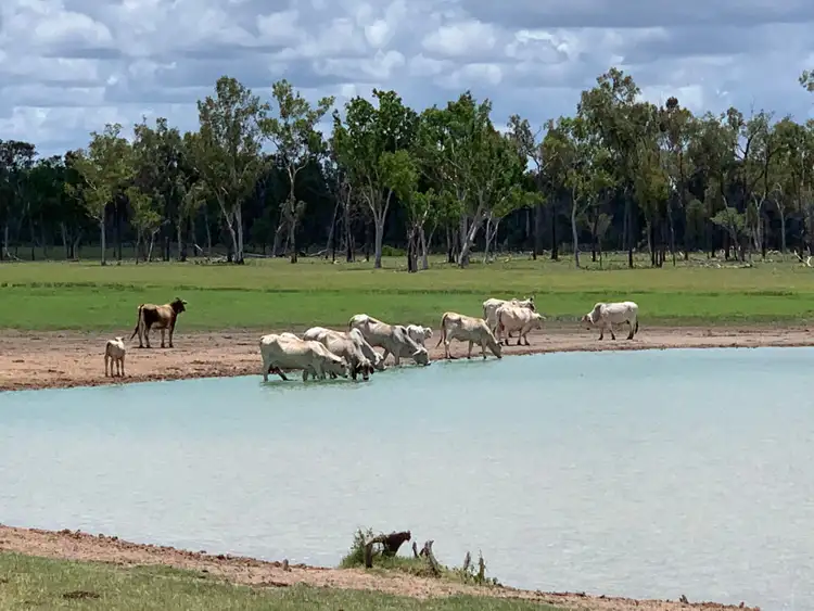 Third view of Homely rural property listing, 43308 fitzroy development Road, Valkyrie QLD 4742
