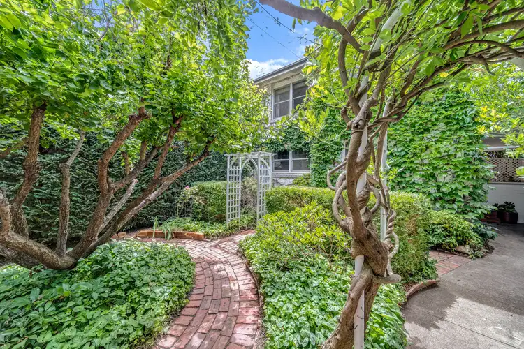 Main view of Homely semi-detached listing, 56 Carroll Street, Hughes ACT 2605