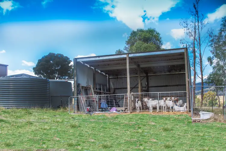 Fourth view of Homely house listing, 1958 Mt Buller Road, Merrijig VIC 3723