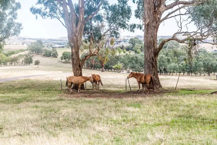 Sixth view of Homely house listing, 1958 Mt Buller Road, Merrijig VIC 3723
