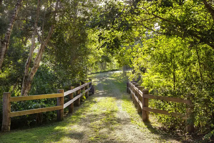 Fifth view of Homely house listing, 1448 Cooroy Belli Creek Road, Ridgewood QLD 4563