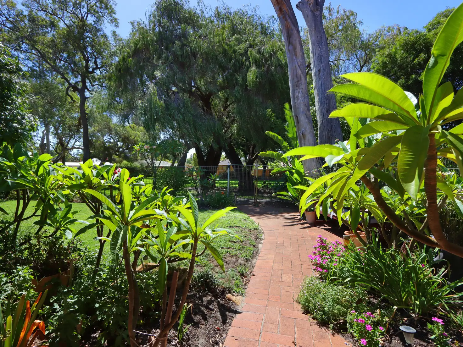 Main view of Homely house listing, 19 Grenadier Drive, Thornlie WA 6108