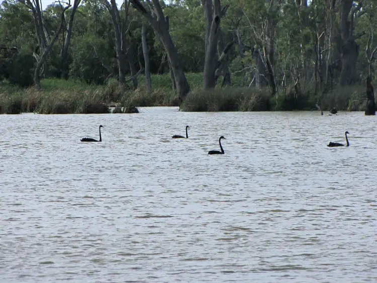 Sixth view of Homely land listing, Lot 706 Holmes Road, Kingston On Murray SA 5331
