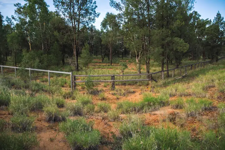 0 Banjarra Drive, Charleville QLD 4470