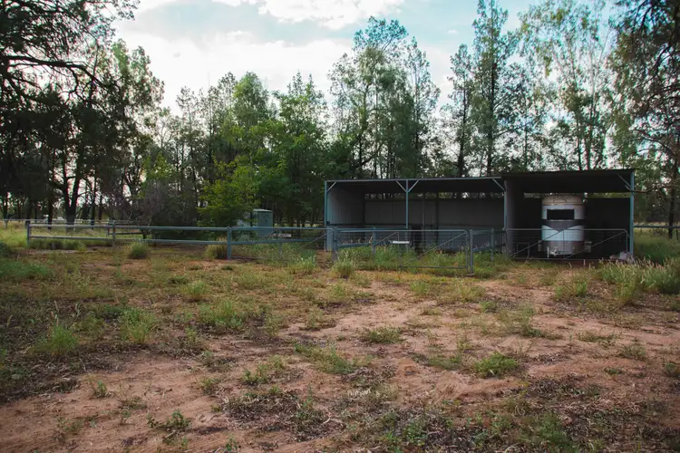 Seventh view of Homely rural property listing, 0 Banjarra Drive, Charleville QLD 4470