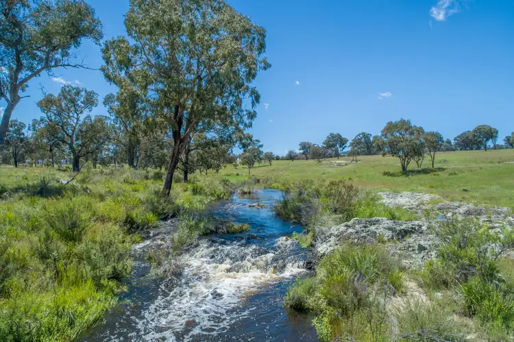 Third view of Homely rural property listing, 408 Bezzants Road, Deepwater NSW 2371