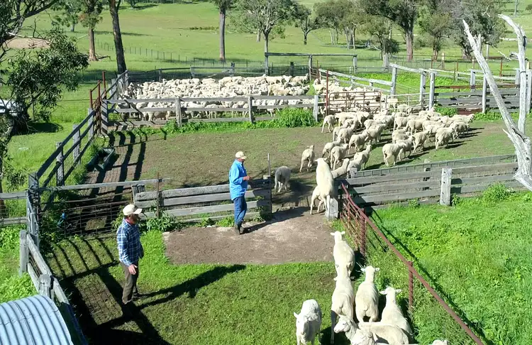 Sixth view of Homely rural property listing, 408 Bezzants Road, Deepwater NSW 2371