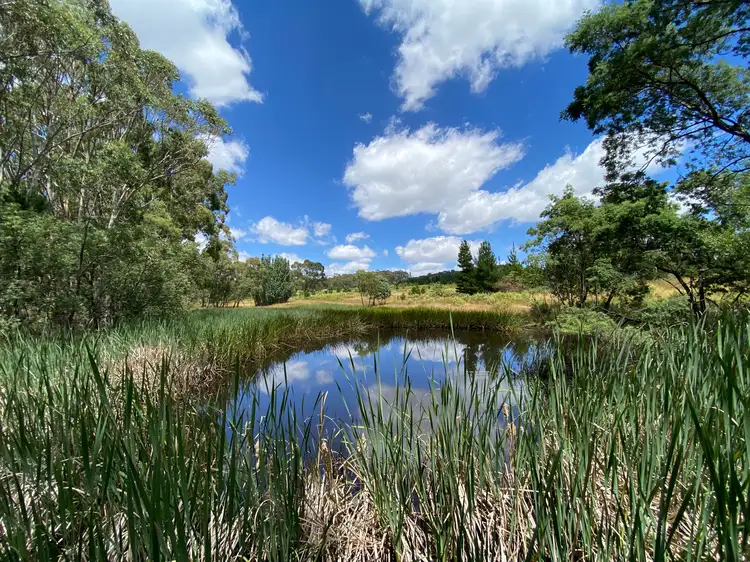 Third view of Homely rural property listing, 294 Black Bullock Road, Oberon NSW 2787