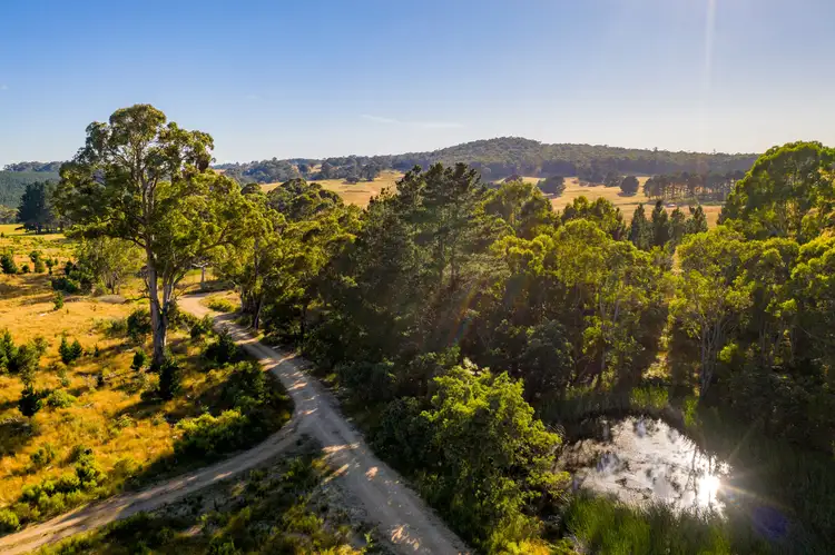 Fourth view of Homely rural property listing, 294 Black Bullock Road, Oberon NSW 2787