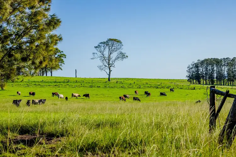 Lot 3 "Serenity Ridge", 510 Beach Road, Berry NSW 2535