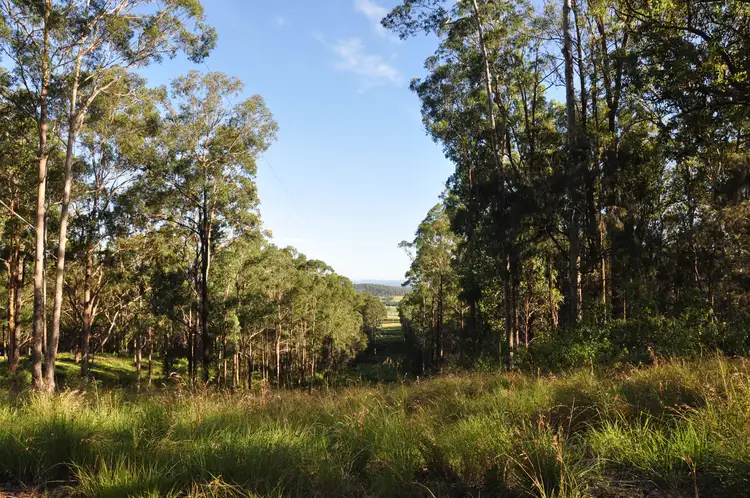 Main view of Homely rural property listing, 718 Pipers Creek Road, Dondingalong NSW 2440