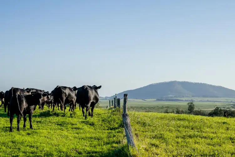 Second view of Homely land listing, Lot 6 'Serenity Ridge' - 510 Beach Road, Berry NSW 2535