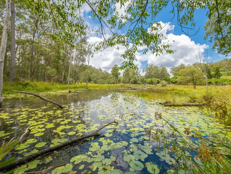 Fifth view of Homely house listing, 66 Erins Knob Road, Neerdie QLD 4570