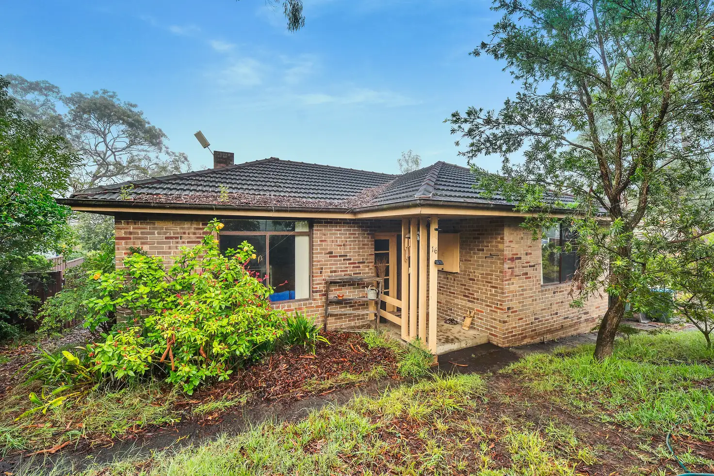 Main view of Homely house listing, 16 Mindarie Street, Lane Cove NSW 2066