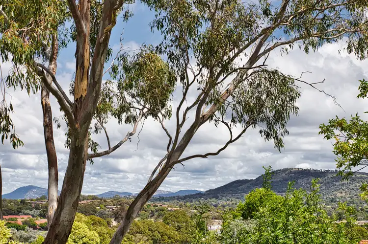 Fourth view of Homely house listing, 93 Fitchett Street, Garran ACT 2605