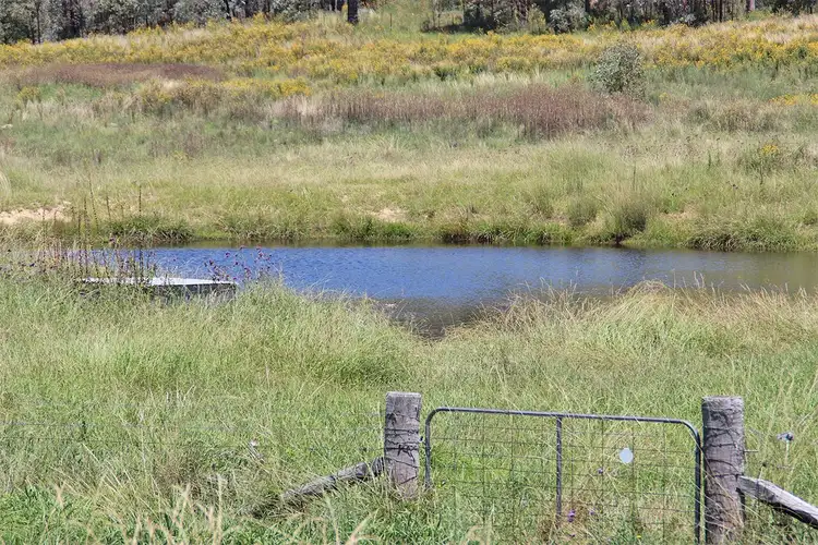 Fourth view of Homely rural property listing, 1287 TIMOR Road, Coonabarabran NSW 2357