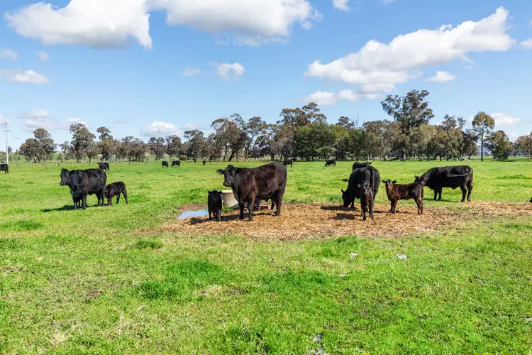 Fifth view of Homely rural property listing, 3779 Sturt Highway, Gumly Gumly via, Wagga Wagga NSW 2650