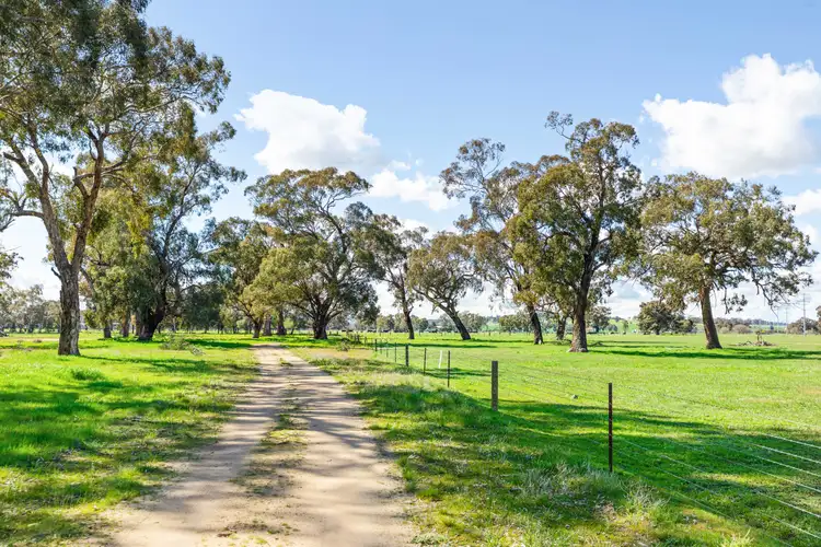 Sixth view of Homely rural property listing, 3779 Sturt Highway, Gumly Gumly via, Wagga Wagga NSW 2650